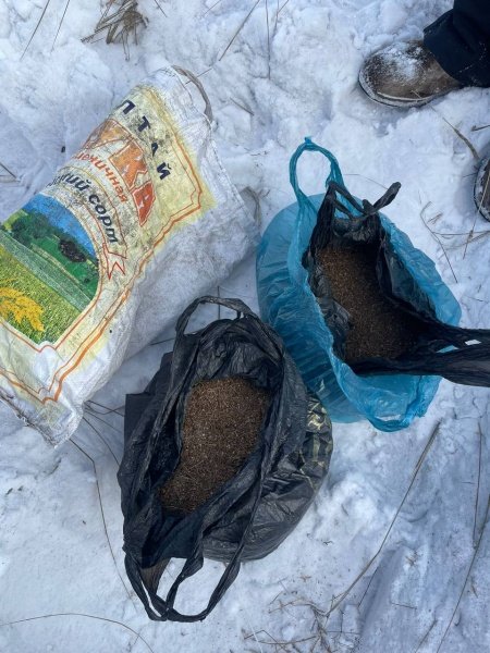 В Улуг-Хемском районе Республики Тыва полицейскими из незаконного оборота изъято более 7 килограммов наркотических средств